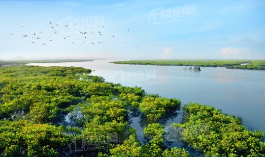 康桥白鹭湾实景图