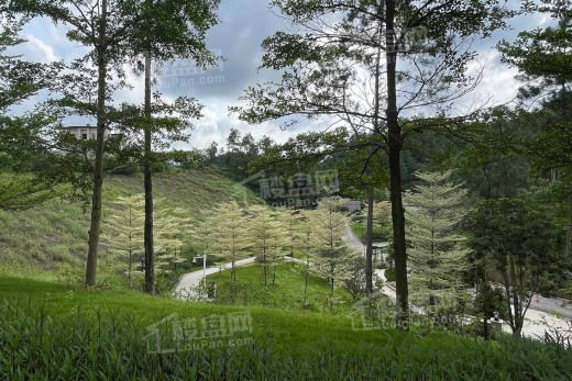 泰丰林湖美地实景图